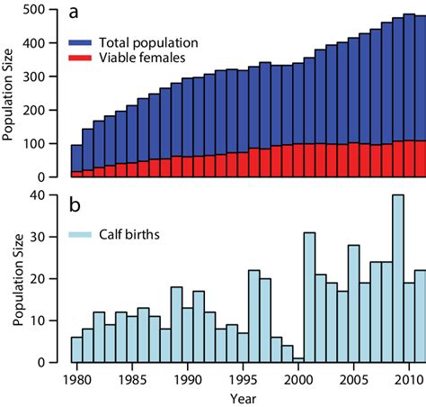 whale population over time graph